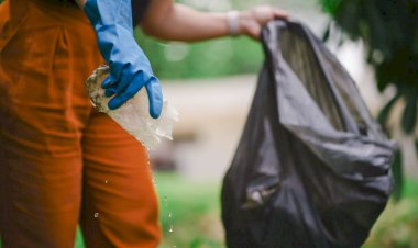 Dengue SC: Estado repassa mais R$ 5 milhões aos municípios para o combate ao Aedes aegypti