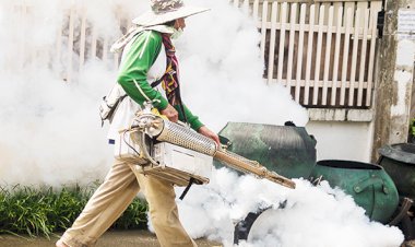 DENGUE: 8 dúvidas sobre a doença para você se proteger