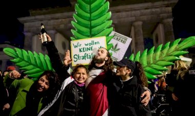 Alemanha legaliza o consumo recreativo da maconha a partir desta segunda (1º)
