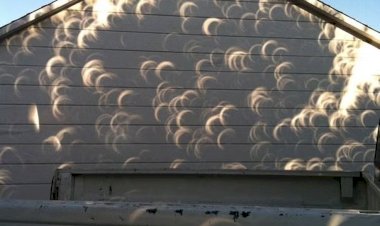 Imagens de eclipse solar total 'multiplicado' no chão chamam a atenção; ciência explica fenômeno