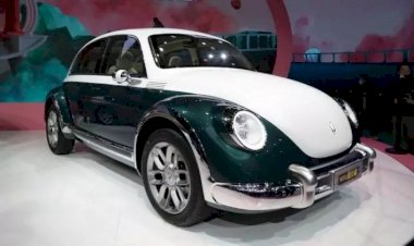 ‘Fusca’ elétrico no Brasil? Entenda o embate judicial da GWM e Volkswagen