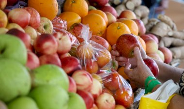 Santa Catarina é o estado com maior segurança alimentar e menor desigualdade de renda do Brasil