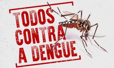 Dengue em SC: população é protagonista no combate à doença e cuidados básicos evitam proliferação do mosquito