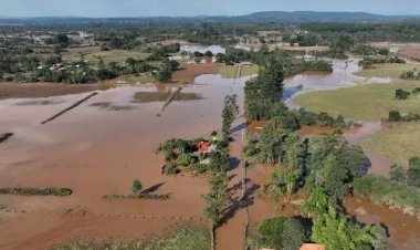 Leptospirose: confira as causas, sintomas, prevenção e tratamento