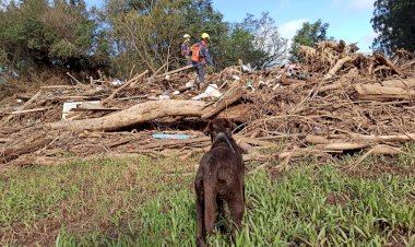 Corpo de Bombeiros Militar de SC envia mais binômios para atuarem no Rio Grande do Sul