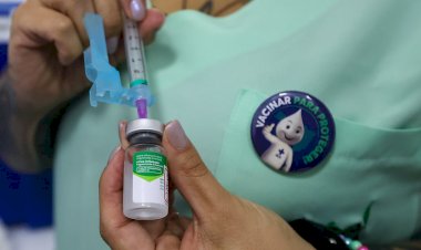 Santa Catarina está entre os quatro estados brasileiros com maior cobertura vacinal da gripe