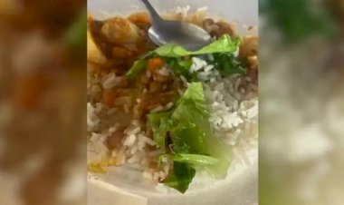 Aluno encontra escorpião em merenda escolar da rede pública