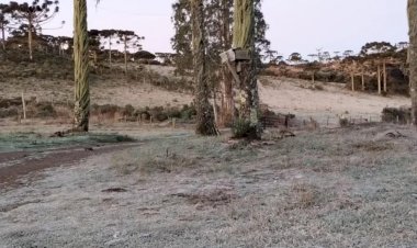 Urupema registra -7,2°C na madrugada de domingo, a menor temperatura do ano em Santa Catarina