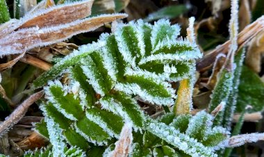 Com avanço de nova frente fria, capitais devem ter queda de até 14°C nos próximos dias