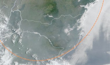 Nevoeiro marítimo e fumaça de queimadas marcam o início da semana em Santa Catarina