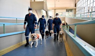 Cães do Corpo de Bombeiros Militar de Santa Catarina levam alegria a crianças em tratamento no Hospital Infantil Joana de Gusmão