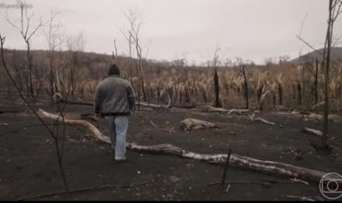 Queimadas e seca: Brasil pode perder o Pantanal até o fim do século se tendências não forem revertidas, diz Marina Silva