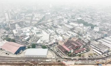 Dia da Amazônia: queimadas recordes e seca severa dos rios intensificam crise ambiental na região