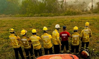 Queimadas no Pantanal: bombeiros de Santa Catarina intensificam combate às chamas no Mato Grosso do Sul