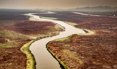 Pantanal: focos de incêndios nos primeiros 10 dias de setembro já são o dobro de todo o mês em 2023