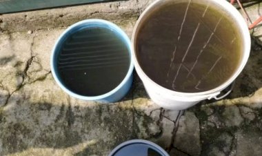 Moradores registram 'chuva preta' no Sul do RS; universidade diz que fenômeno é provocado por fumaça de incêndios