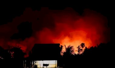 Área de floresta nativa atingida pelo fogo na Amazônia cresce 132% em agosto, aponta relatório