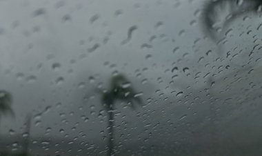 Santa Catarina registra primeira ocorrência de chuva preta no Oeste do estado