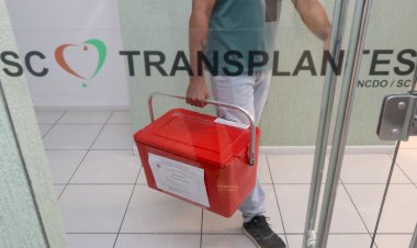 Setembro Verde: referência no país, Santa Catarina reforça importância da doação de órgãos