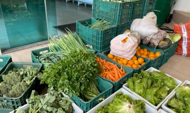 Santa Catarina fecha o mês com R$ 2 milhões em compras no Programa de Aquisição de Alimentos
