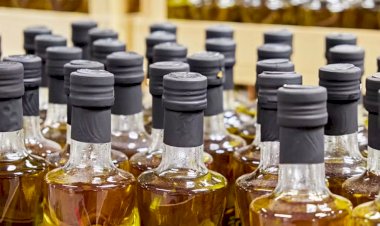 Ministério da Agricultura proíbe a venda de lotes de 12 marcas de azeite de oliva; saiba quais