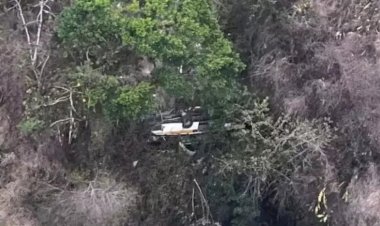 Tragédia em Alagoas: criança de 4 anos morre e óbitos em acidente de ônibus chegam a 18