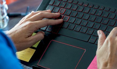 Santa Catarina lidera o interesse no Brasil por comércio, indústria, emprego e turismo, segundo o Google Trends