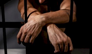 Castração química: quais foram os resultados em países que adotam a punição para crimes sexuais