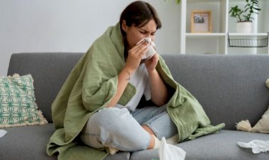 Dengue, gripe ou virose? Saiba diferenciar doenças que circulam no Litoral Norte de SC