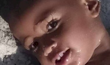 Bombeiros buscam por menino de 2 anos que desapareceu em SC