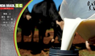 CRISE NO CAMPO: ALESC LOTADA EXPÕE “LUTO DO LEITE” EM SANTA CATARINA