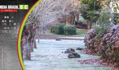 SERRA GAÚCHA REGISTRA GEADA E TEMPERATURAS PRÓXIMAS DE 0°C NA 1ª SEGUNDA DE 2026