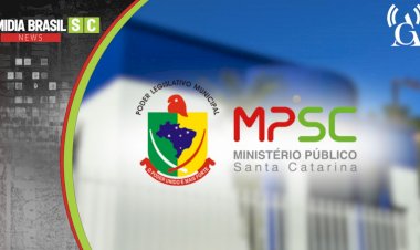 MPSC integra operação nacional contra desmatamento da Mata Atlântica