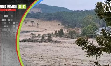 Santa Catarina registra -7,3°C, menor temperatura do Brasil em 2026
