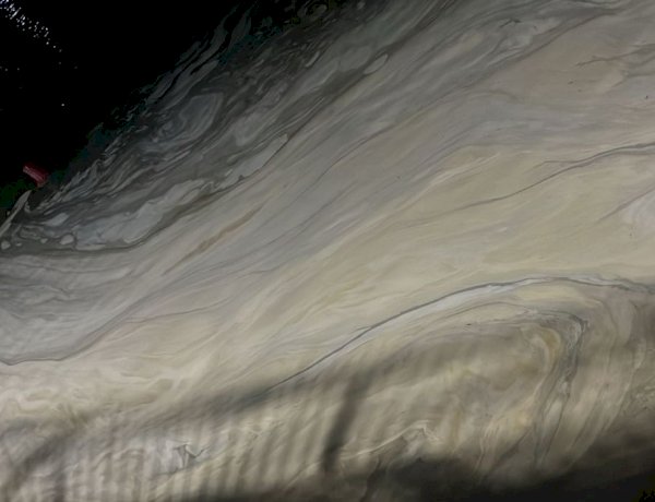 Mancha ‘misteriosa’ na Lagoa da Conceição tem causa revelada e explicação surpreende