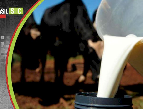 CRISE NO CAMPO: ALESC LOTADA EXPÕE “LUTO DO LEITE” EM SANTA CATARINA