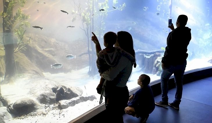 Bioparque Pantanal define horário de visitas em dias de jogos da Seleção Brasileira