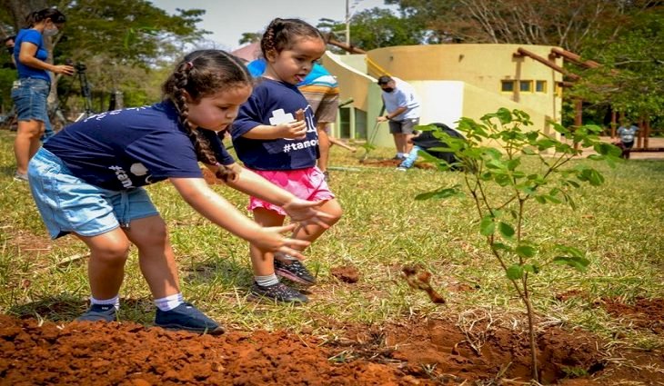 Agems realiza plantio de novas mudas no Arco dos Ipês em Campo Grande