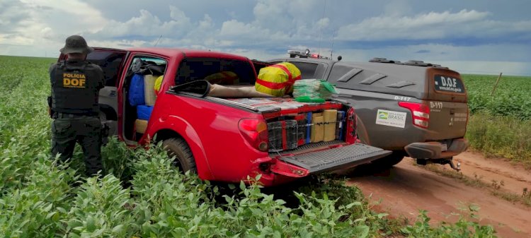 Homem é preso com mais 1 tonelada de maconha durante tentativa de fuga