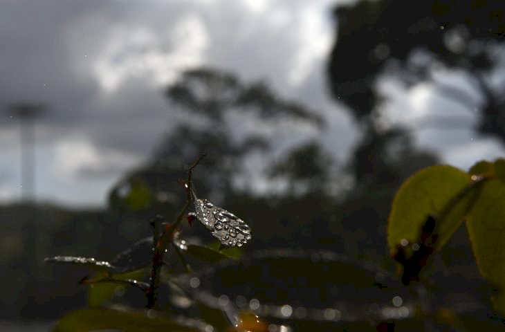 Previsão é de quinta-feira com manhã de sol e tarde de chuva