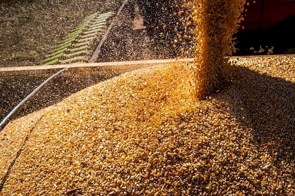 VBP do agro chega a R$ 1,32 trilhão em 2022