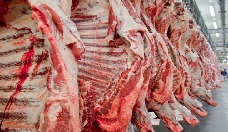 Exportações de carnes tem alta de quase 30% e MS caminha para ser multiproteína