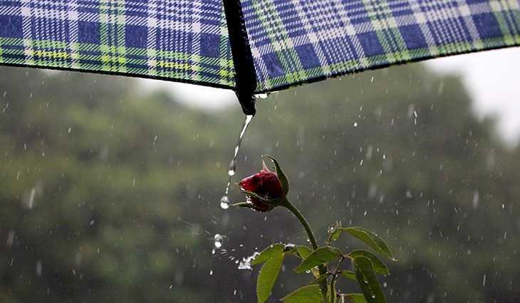 Segunda segue com temperaturas altas e pancadas de chuva