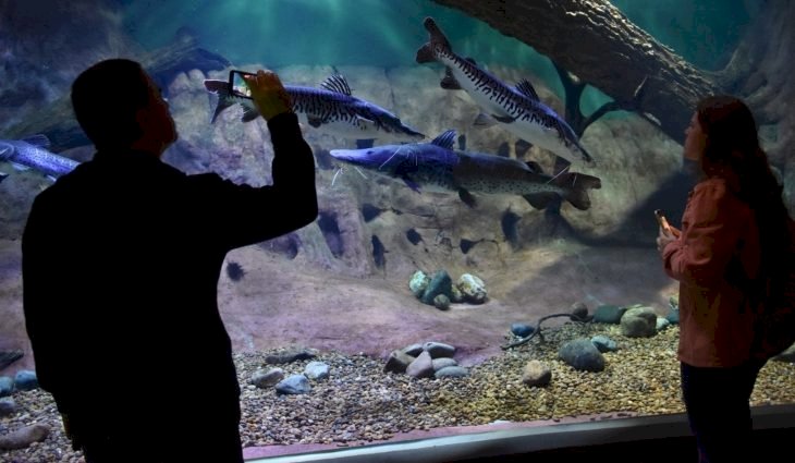 Inscrições para cadastro de professores atuarem no Bioparque encerram na sexta