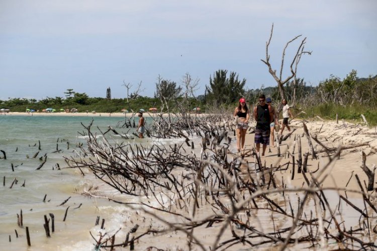 Derretimento de calotas de gelo acende antigo alerta para costa de SC; entenda