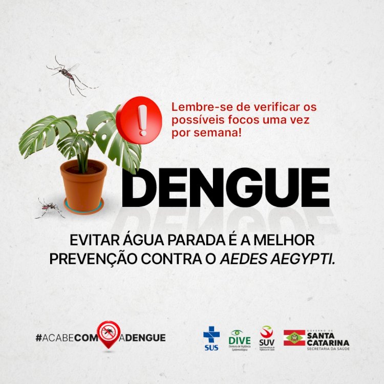 Saúde orienta sobre os cuidados com a dengue no feriado de Finados