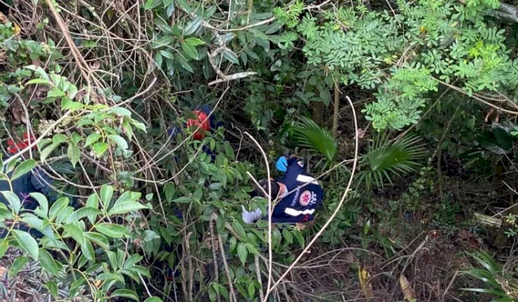 Homem despenca de mirante em Florianópolis e é resgatado em mata no Morro da Cruz