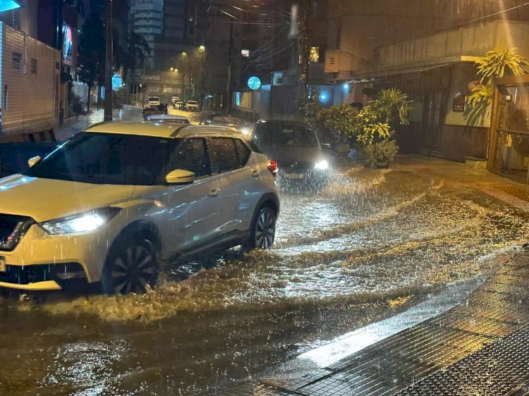 Quedas de árvores e alagamentos: forte chuva causa estragos no Sul de SC