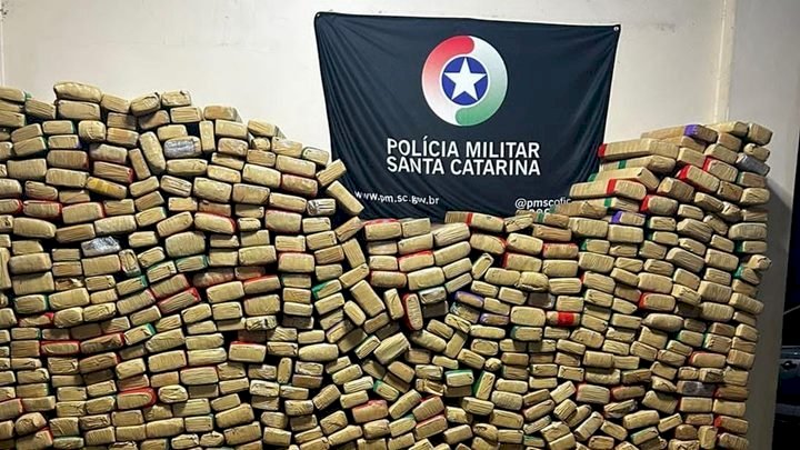 Combate ao tráfico resulta na apreensão de cerca de duas toneladas de maconha este ano em SC pela PM