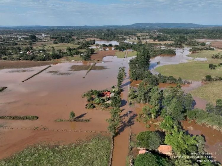 Leptospirose: confira as causas, sintomas, prevenção e tratamento